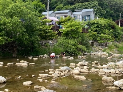 펜션 앞 풍경